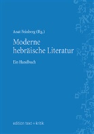 Ana Feinberg, Anat Feinberg - Moderne hebräische Literatur