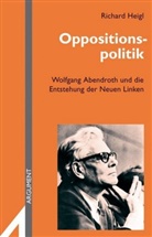 Richard Heigl - Oppositionspolitik