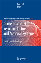 Ays Erol, Ayse Erol - Dilute III-V Nitride Semiconductors and Material Systems