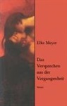 Elke Meyer - Das Versprechen aus der Vergangenheit