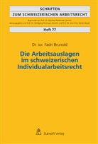 Fadri Brunold - Die Arbeitsauslagen im schweizerischen Individualarbeitsrecht