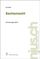 Urs Fasel - Sachenrecht, Entwicklungen 2013
