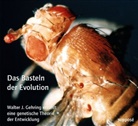 Walter Gehring, Walter J. Gehring, Klaus Sander - Das Basteln der Evolution, 2 Audio-CDs (Audiolibro)