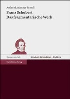 Andrea Lindmayr-Brandl - Franz Schubert, Das fragmentarische Werk