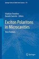 Daniel Sanvitto, Daniele Sanvitto, Timofeev, Timofeev, Vladislav Timofeev - Exciton Polaritons in Microcavities