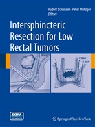 Metzger, Metzger, Peter Metzger, Rudol Schiessel, Rudolf Schiessel - Intersphincteric Resection for Low Rectal Tumors