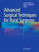 David C. Borgstrom, C Borgstrom, C Borgstrom, Amy L. Halverson, Am L Halverson, Amy L Halverson - Advanced Surgical Techniques for Rural Surgeons