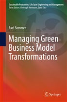 Axel Sommer - Managing Green Business Model Transformations