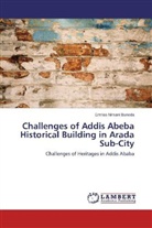 Ermias Nimani Buneda - Challenges of Addis Abeba Historical Building in Arada Sub-City