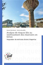 Karima Bouzelha, Hocin Hammoum, Hocine Hammoum - Analyse de risques lies au