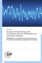Driss Sarsri, Sarsri-d - Analyse stochastique de