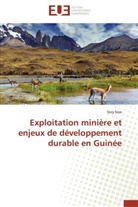 Sory Sow, Sow-s - Exploitation miniere et enjeux de