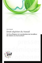 Zina Yacoub, Yacoub-z - Droit algerien du travail