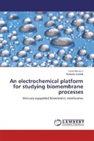Luci Becucci, Lucia Becucci, Rolando Guidelli - An electrochemical platform for studying biomembrane processes