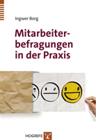Ingwer Borg - Mitarbeiterbefragungen in der Praxis