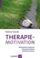 Dietmar Schulte - Therapiemotivation