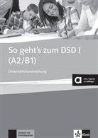 Beat Müller-Karpe, Beate Müller-Karpe, Alexandra Olejárová - SO GEHT'S ZUM DSD I ; LIVRE DU PROFESSEUR + CD + DVD