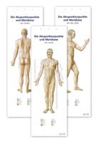 Bernard Kolster, Bernard C Kolster, Bernard C. Kolster - Akupunktur-Poster-Set, 3 Poster