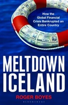 Roger Boyes, Boyes Roger - Meltdown Iceland