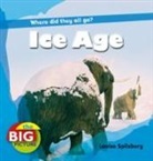 Louise Spilsbury - Ice Age
