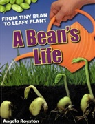 Angela Royston - A Bean's Life