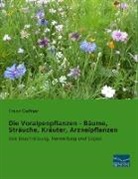 Franz Daffner - Die Voralpenpflanzen - Bäume, Sträuche, Kräuter, Arzneipflanzen