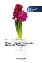 Mahendra Pratap Choudhary - Water Hyacinth Treatment of Domestic Wastewater