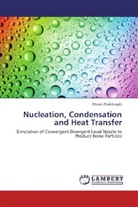 Ehsan Zhalehrajabi - Nucleation, Condensation and Heat Transfer