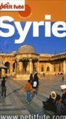 Syrie : 2011-2012