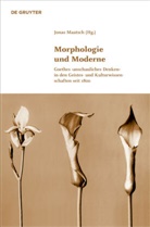 Jona Maatsch, Jonas Maatsch - Morphologie und Moderne
