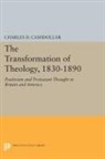 Charles Cashdollar, Charles D. Cashdollar, Charles D. (University Professor of Hi Cashdollar - Transformation of Theology, 1830-1890