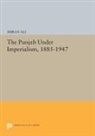 Imran Ali, Ali Imran - Punjab Under Imperialism, 1885-1947
