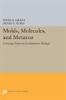 Peter R. Grant, Peter R. Horn Grant, Peter Grant, Peter R. Grant, Henry Horn, Henry S. Horn... - Molds, Molecules, and Metazoa