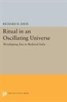 Richard Davis, Richard H. Davis, Davis Richard H. - Ritual in an Oscillating Universe