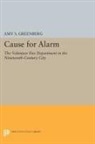 Amy Greenberg, Amy S. Greenberg, Greenberg Amy S. - Cause for Alarm