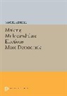 Samuel Merrill, Merrill Samuel - Making Multicandidate Elections More Democratic