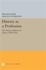 Pim den Boer, Pim Den Boer - History As a Profession