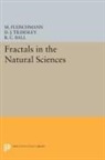 M. Tildesley Fleischmann, R. Ball, R. C. Ball, Ball R. C., M. Fleischmann, Fleischmann M.... - Fractals in the Natural Sciences