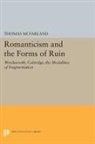Thomas Mcfarland, McFarland Thomas - Romanticism and the Forms of Ruin