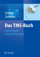 Hartwi Roman Siebner, Hartwi Roman Siebner (Prof. Dr. med.), Hartwig Roman Siebner (Prof. Dr. med.), Hartwig Siebner, Hartwig Roman Siebner, Ziemann... - Das TMS-Buch