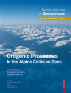 Nikolau Froitzheim, Nikolaus Froitzheim, M Schmid, M Schmid, Stefan M. Schmid - Orogenic Processes in the Alpine Collision Zone