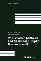 Antoni Ambrosetti, Antonio Ambrosetti, Andrea Malchiodi - Perturbation Methods and Semilinear Elliptic Problems on R^n