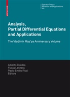 Alberto Cialdea, Paolo Emilio Ricci, Flavi Lanzara, Flavia Lanzara, Paolo Emilio Ricci - Analysis, Partial Differential Equations and Applications