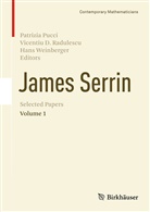 Vicenti D Radulescu, Vicentiu D Radulescu, Patrizia Pucci, Vicentiu D. Radulescu, Hans Weinberger - James Serrin. Selected Papers