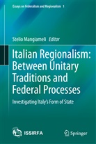 Steli Mangiameli, Stelio Mangiameli - Italian Regionalism: Between Unitary Traditions and Federal Processes
