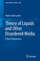 Walter Schirmacher - Theory of Liquids and Other Disordered Media