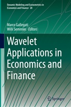 Marc Gallegati, Marco Gallegati, Semmler, Semmler, Willi Semmler - Wavelet Applications in Economics and Finance
