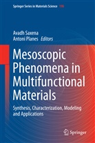 Planes, Planes, Antoni Planes, Avad Saxena, Avadh Saxena - Mesoscopic Phenomena in Multifunctional Materials