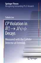 Sabato Leo - CP Violation in {B_s}^0 - J/psi.phi Decays