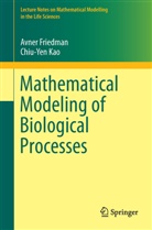 Avne Friedman, Avner Friedman, Chiu-Yen Kao - Mathematical Modeling of Biological Processes